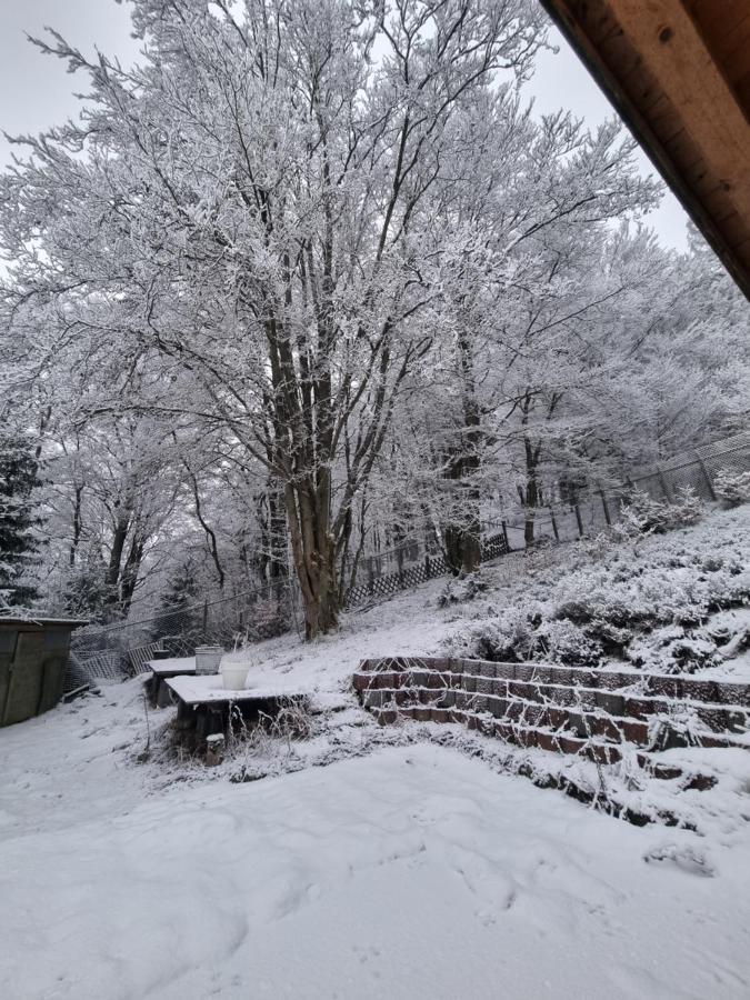 Ferienwohnung Schneeberg Stryck Εξωτερικό φωτογραφία